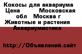 Кокосы для аквариума › Цена ­ 200 - Московская обл., Москва г. Животные и растения » Аквариумистика   